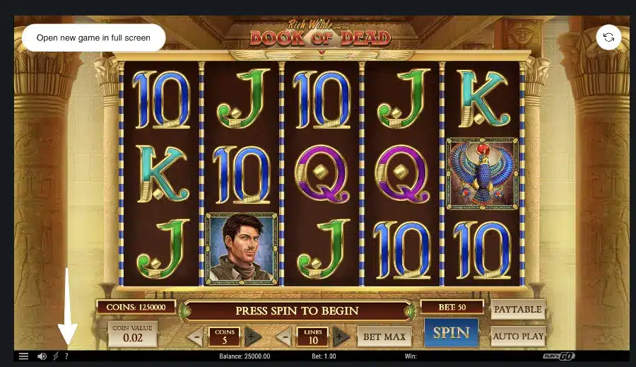 book of dead slot info icon
