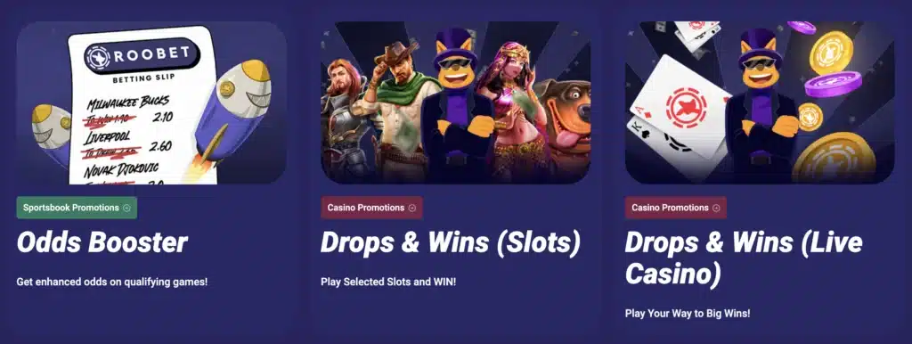Roobet Bonuses and Promotions Offers